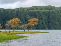 Herbststimmung auf einer Landzunge im Lagoa Azul - Sete Cidades - São Miguel